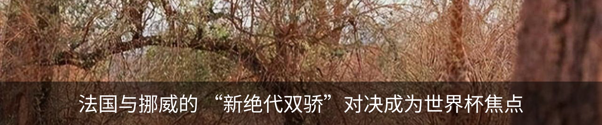 行业资讯