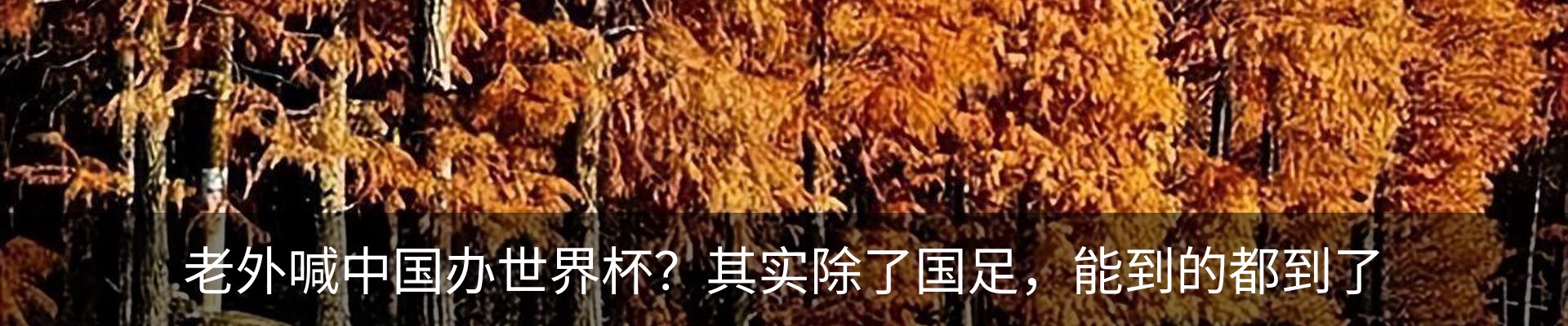 行业资讯