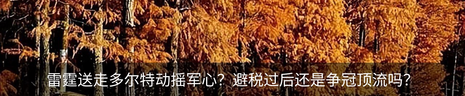 行业资讯